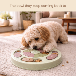 CalmPaws™ Interactive Puzzle Feeder