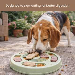 CalmPaws™ Interactive Puzzle Feeder