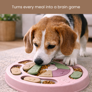 CalmPaws™ Interactive Puzzle Feeder