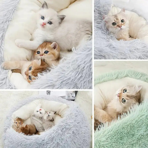 Plush Cave Bed: A Snuggly Little Hideaway for Happier, Calmer Pets