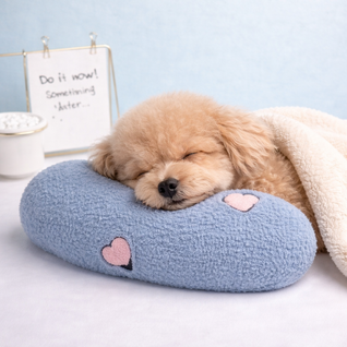 CloudSnuggle™ Comfort Pillow ☁️