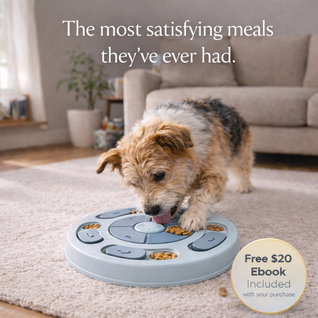 CalmPaws™ Interactive Puzzle Feeder
