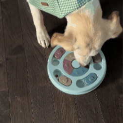CalmPaws™ Interactive Puzzle Feeder