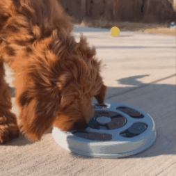 CalmPaws™ Interactive Puzzle Feeder