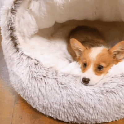 Plush Cave Bed: A Snuggly Little Hideaway for Happier, Calmer Pets