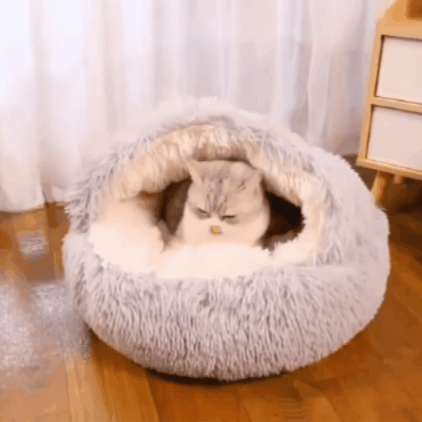 Plush Cave Bed: A Snuggly Little Hideaway for Happier, Calmer Pets